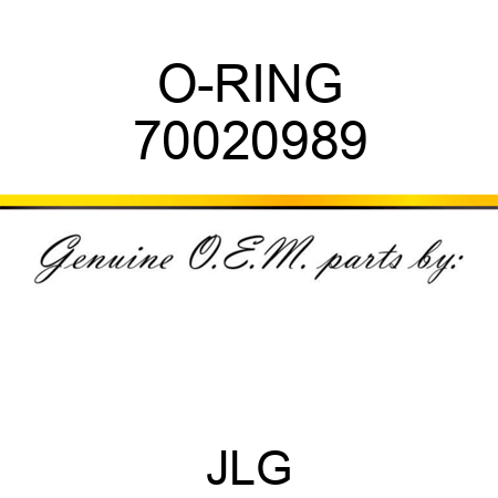O-RING 70020989