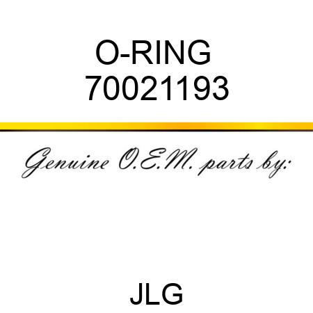 O-RING  70021193
