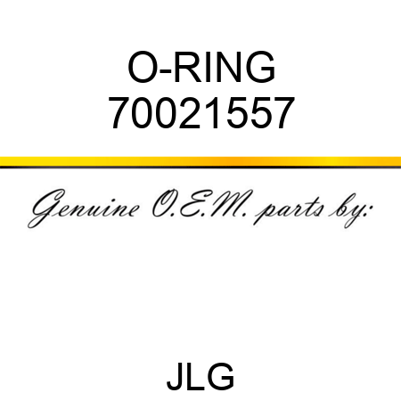 O-RING 70021557