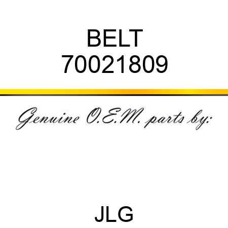 BELT 70021809