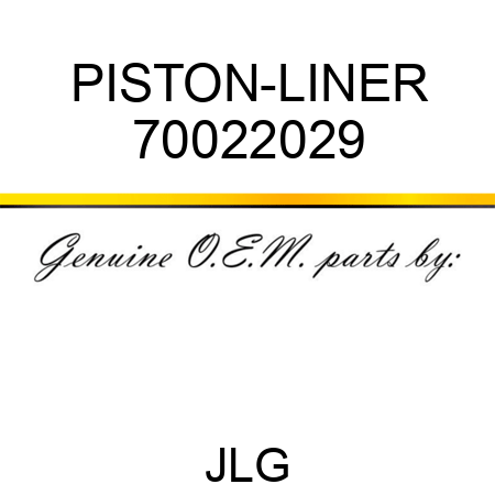 PISTON-LINER 70022029