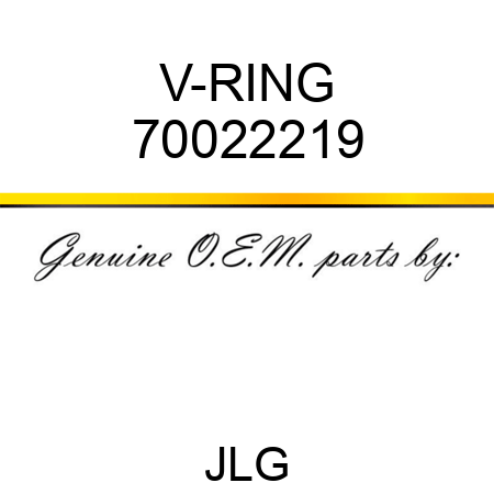 V-RING 70022219