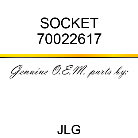 SOCKET 70022617