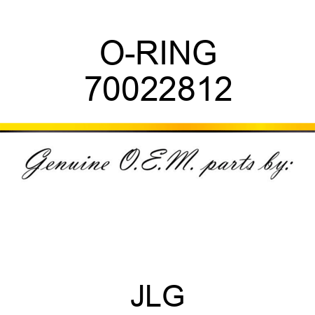O-RING 70022812