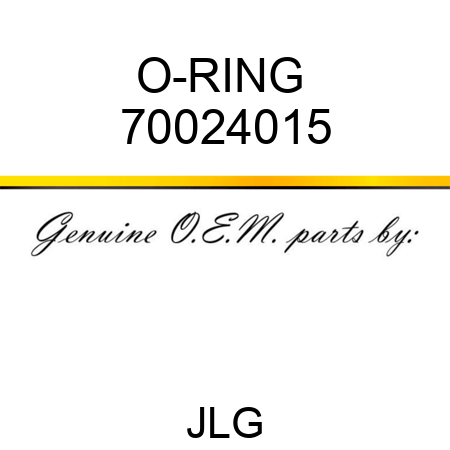 O-RING  70024015