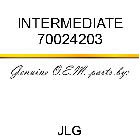 INTERMEDIATE 70024203