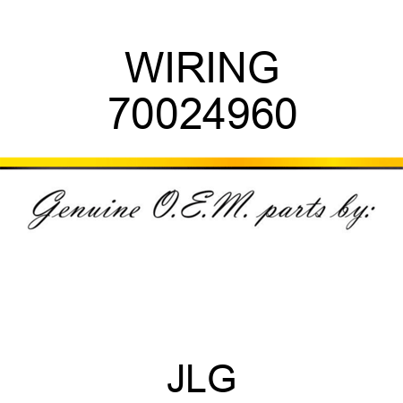 WIRING 70024960