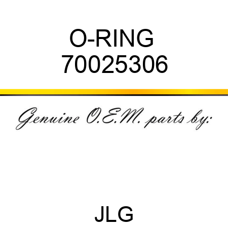 O-RING  70025306