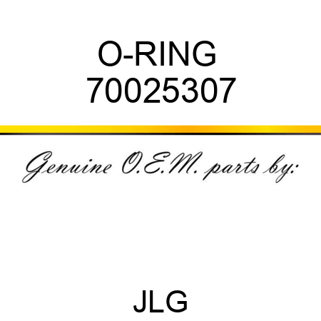 O-RING  70025307