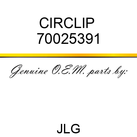 CIRCLIP  70025391