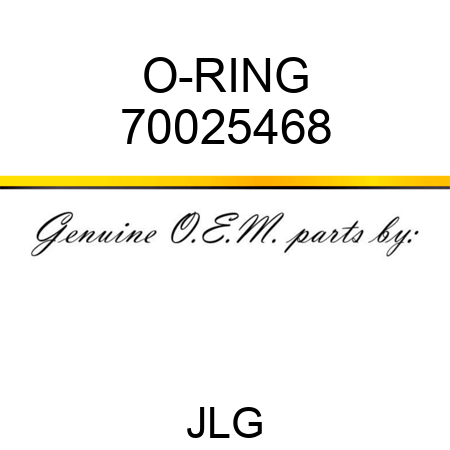 O-RING 70025468