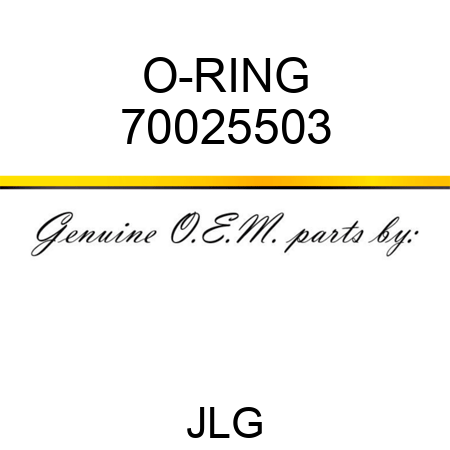 O-RING 70025503