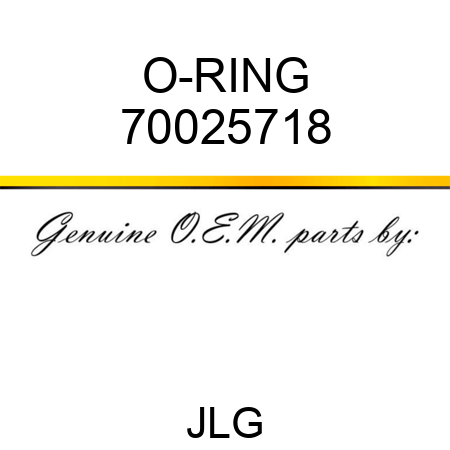 O-RING 70025718