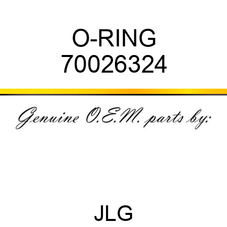O-RING 70026324