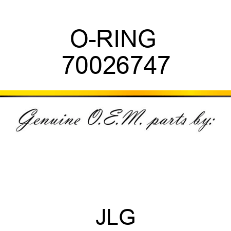 O-RING  70026747