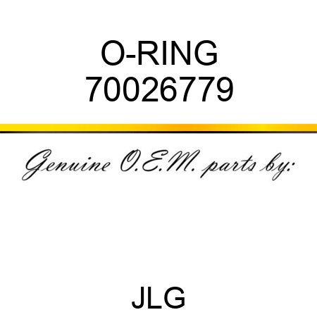 O-RING 70026779