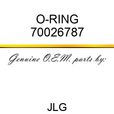 O-RING 70026787