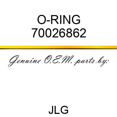 O-RING 70026862