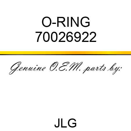 O-RING 70026922