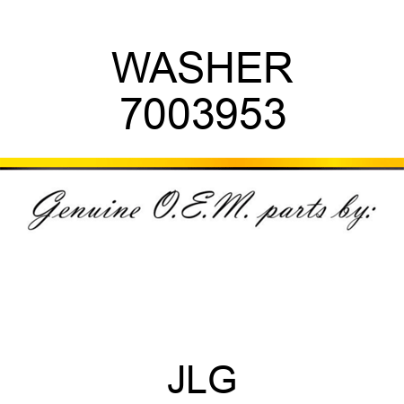 WASHER 7003953