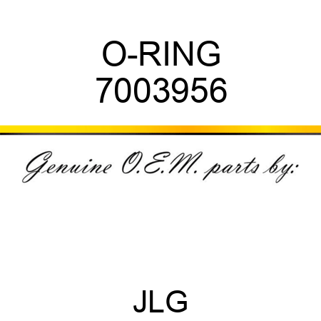 O-RING 7003956