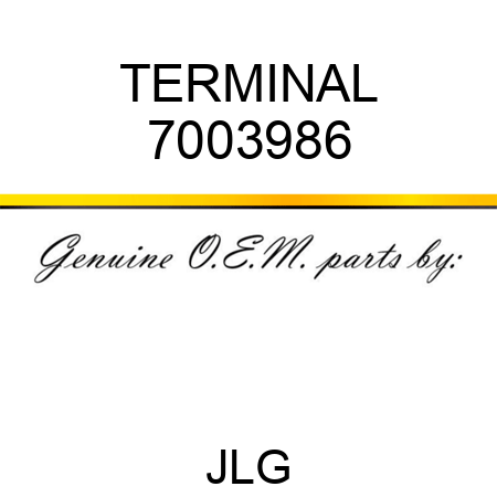 TERMINAL 7003986