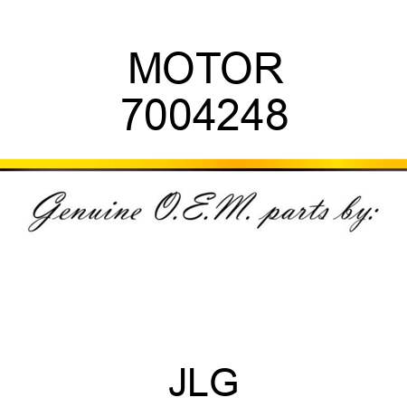 MOTOR 7004248
