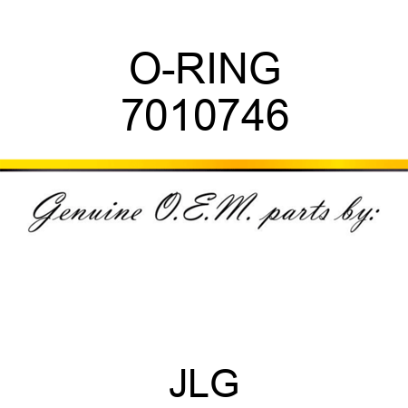 O-RING 7010746
