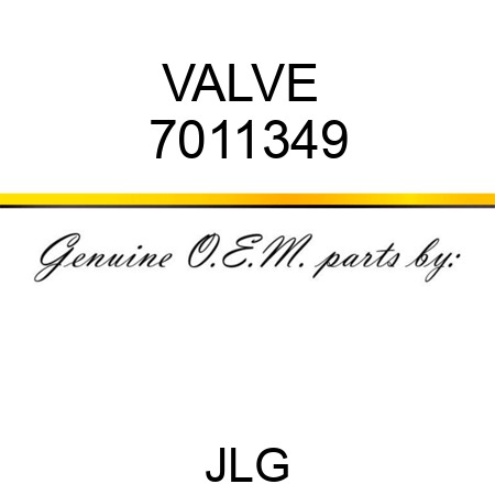 VALVE  7011349
