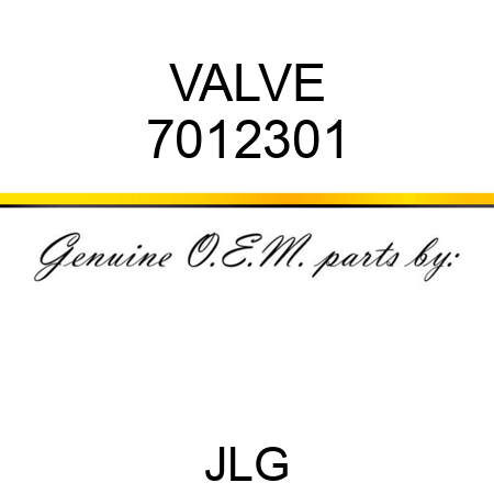 VALVE 7012301
