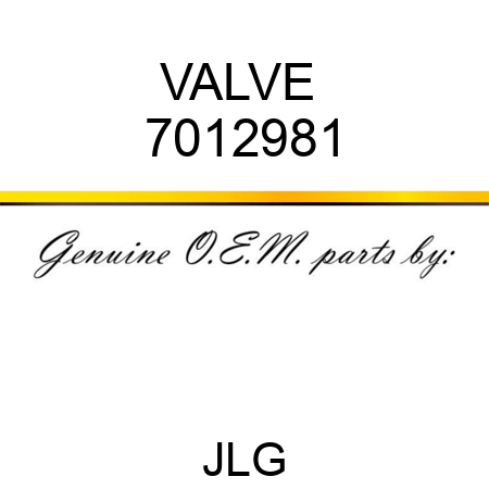 VALVE  7012981