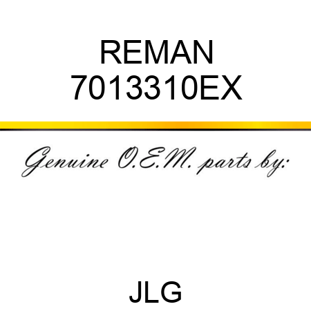 REMAN 7013310EX