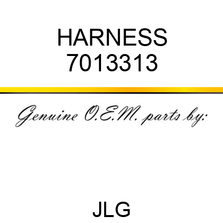 HARNESS 7013313