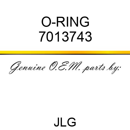 O-RING 7013743