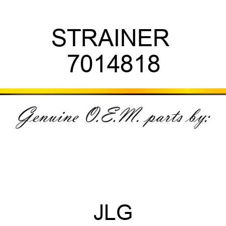 STRAINER  7014818
