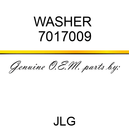 WASHER  7017009