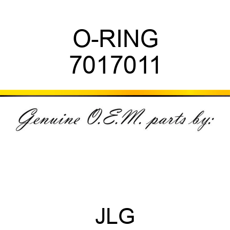 O-RING 7017011
