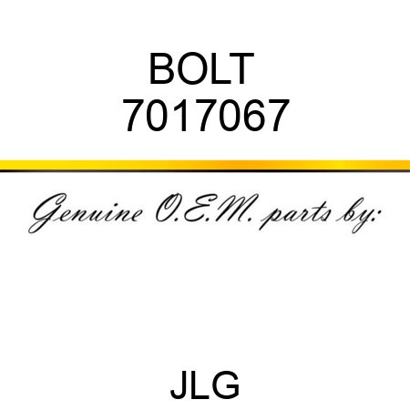 BOLT  7017067
