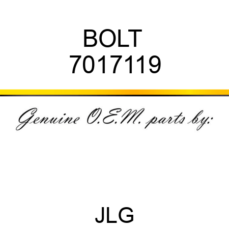 BOLT  7017119