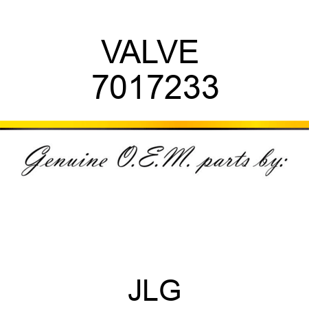 VALVE  7017233
