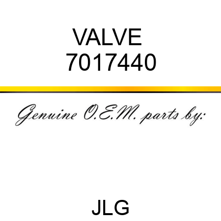 VALVE  7017440