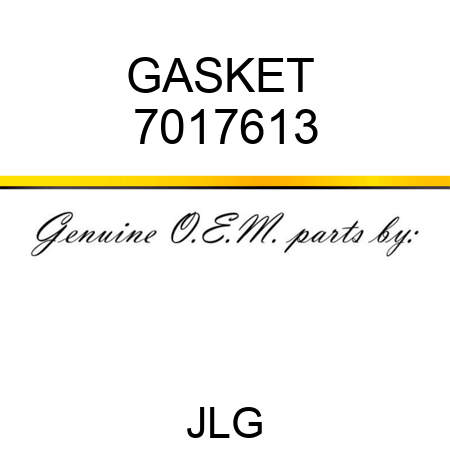 GASKET  7017613