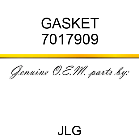 GASKET 7017909
