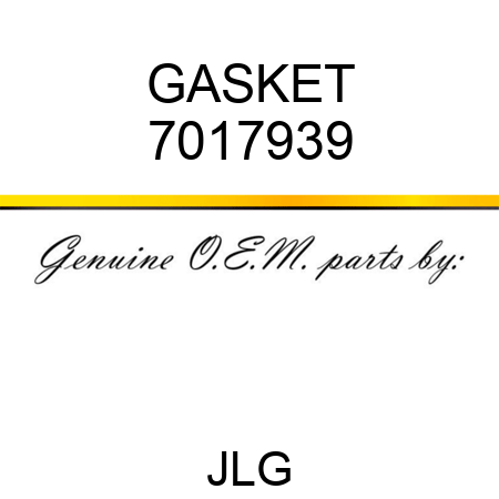 GASKET 7017939