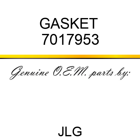 GASKET  7017953