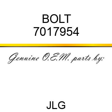 BOLT 7017954