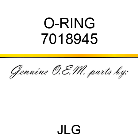 O-RING 7018945