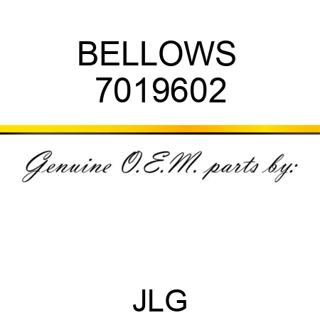 BELLOWS  7019602