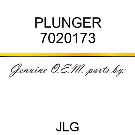 PLUNGER 7020173