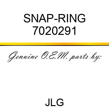 SNAP-RING 7020291